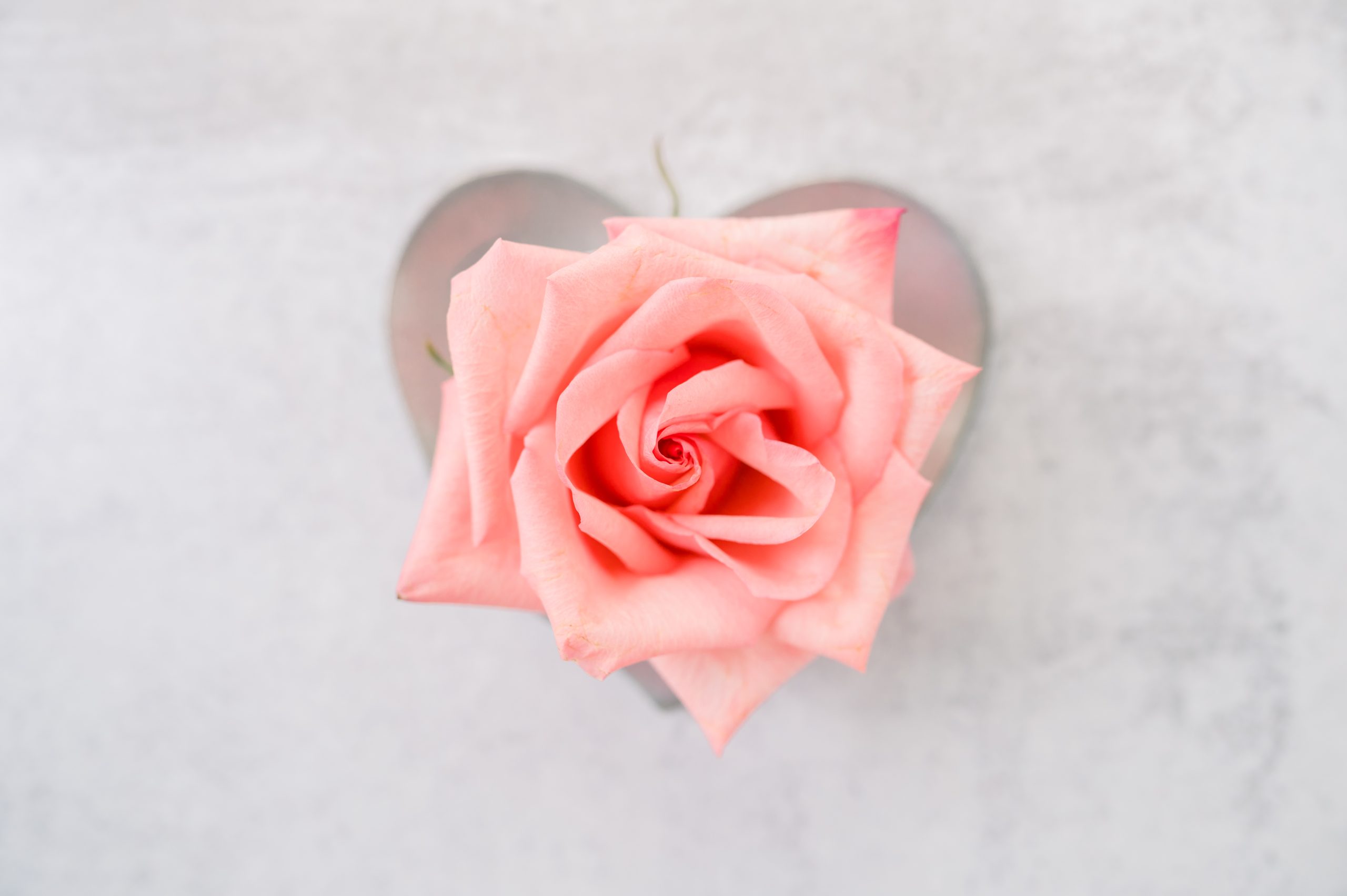 Join The Mindful Portal